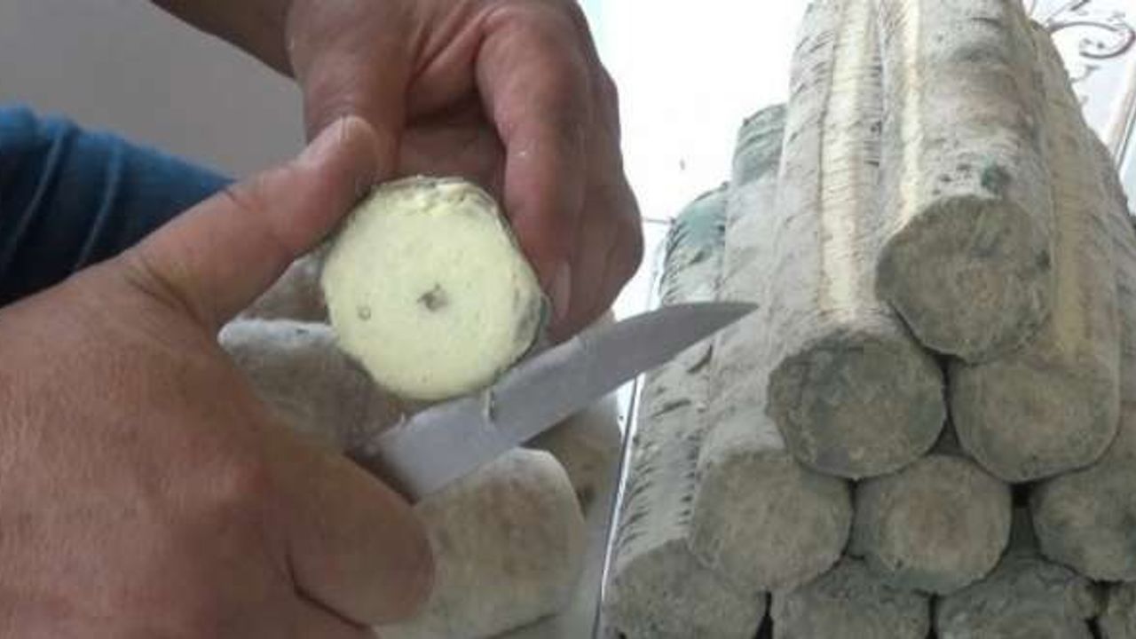 Çorum’un 1650 rakımlı yaylasında üretilen peynire ilgi büyük