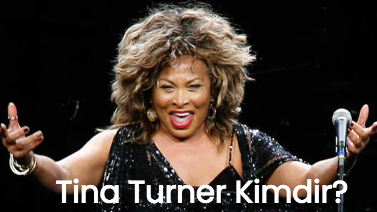 Tina Turner Kimdir?
