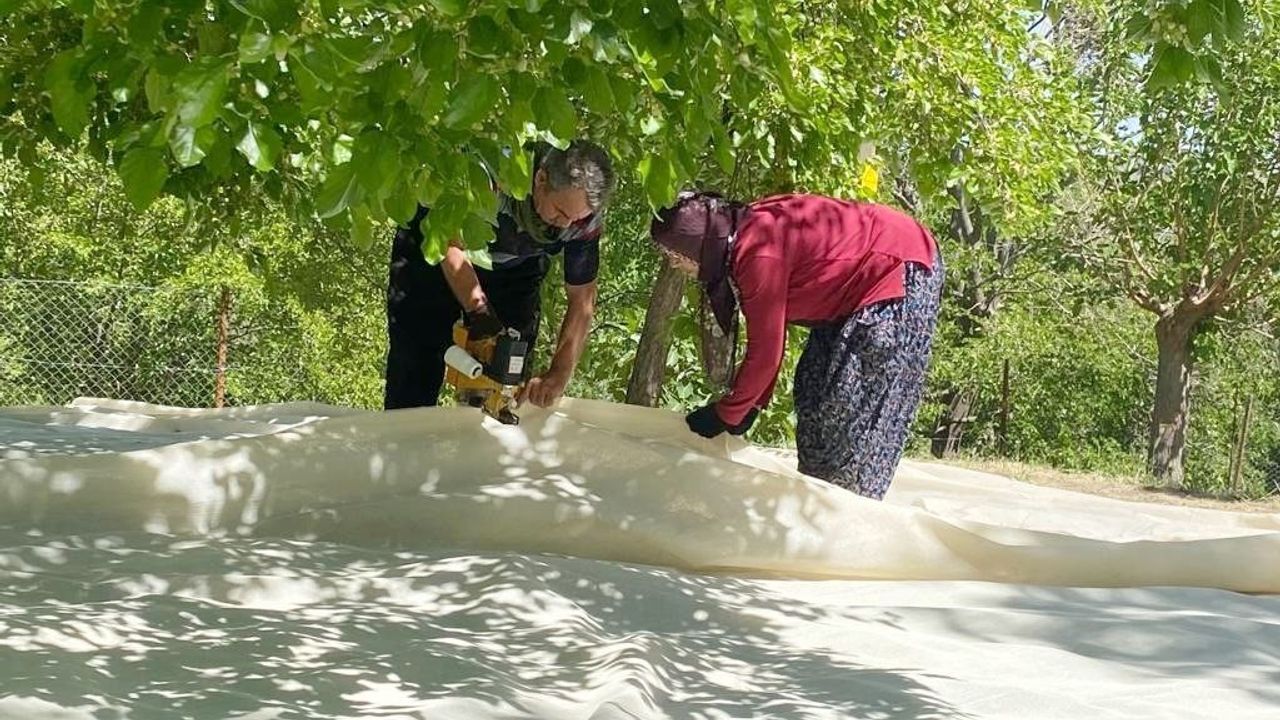 Tunceli’de dut üreticileri dayanışma içerisinde bahçelerini sezona hazırlıyor