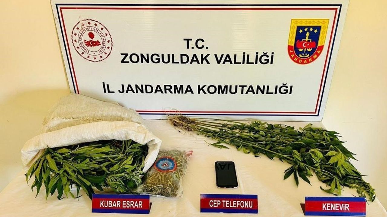 Zonguldak’ta uyuşturucu operasyonunda 1 tutuklama