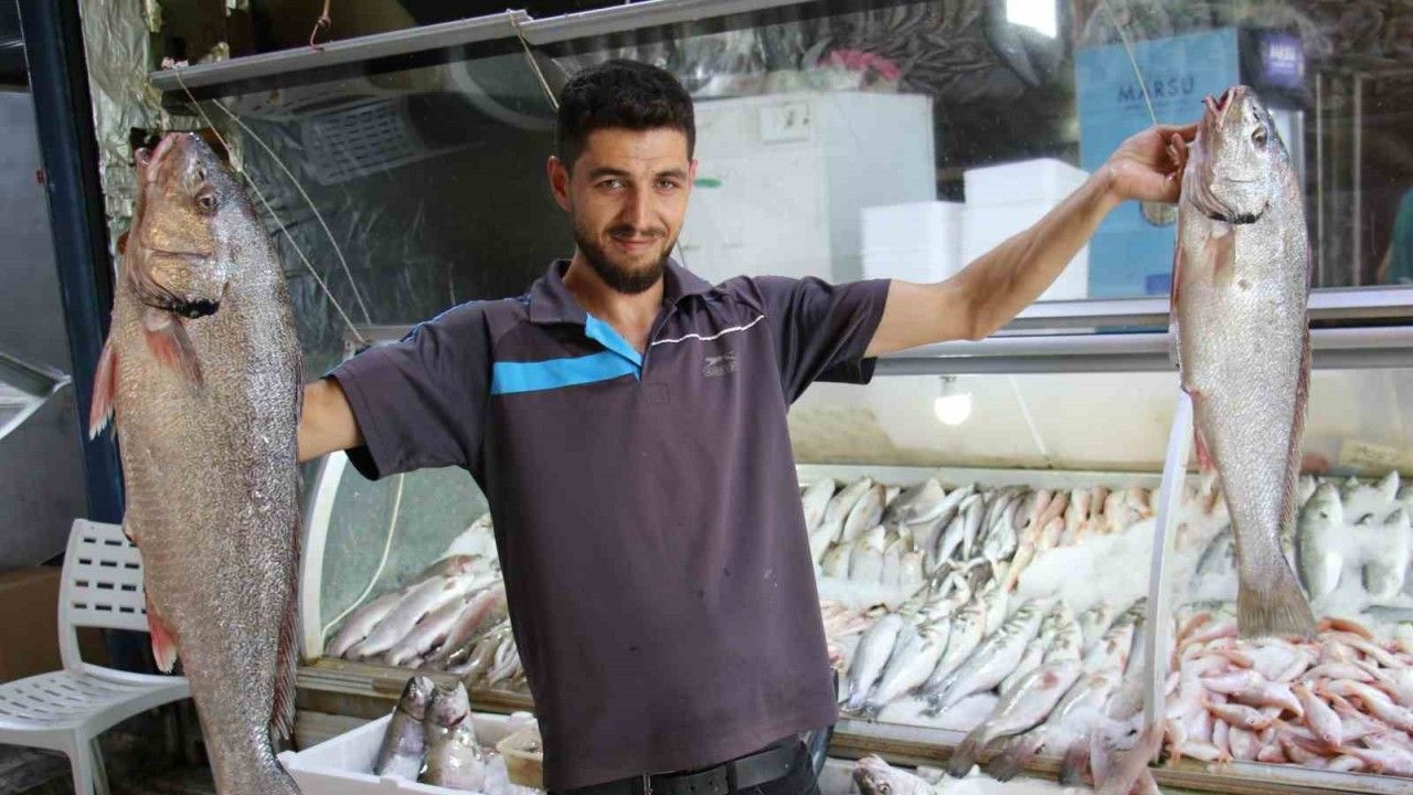 Akdeniz’de de sezonun açılmasıyla tezgahlar balıkla doldu
