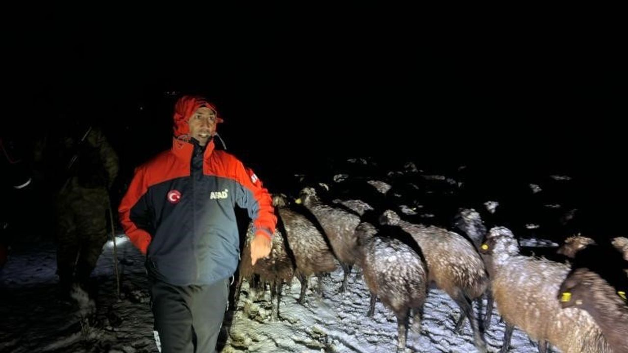 Ağrı’da mahsur kalan 3 çoban ve 3 bin koyun kurtarıldı