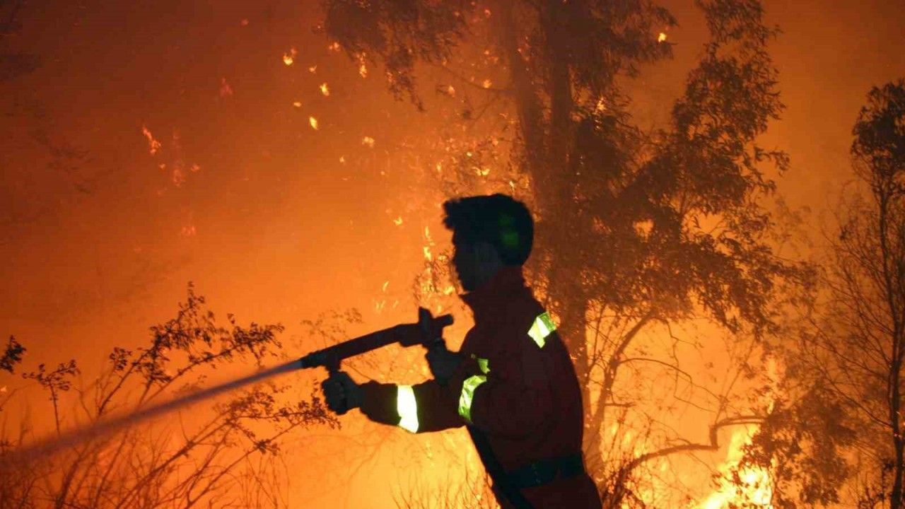 Muğla ve Aydın’da 502 yangında 819 hektar alan yandı