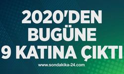 2020'DEN BUGÜNE 9 KATINA ÇIKTI