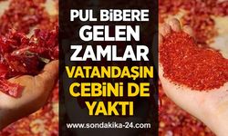 Pul bibere gelen zamlar vatandaşın cebini de yaktı