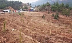 Depremlerde hayatını kaybedenler anısına bin 100 fidan toprakla buluşturuldu