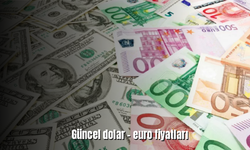 23 Haziran 2023 dolar - euro kuru