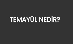 TEMAYÜL KELİMESİNİN SÖZLÜK ANLAMI NEDİR?