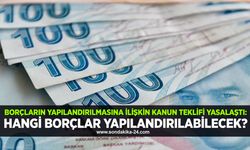 Borçların yapılandırılmasına ilişkin kanun teklifi yasalaştı: Hangi borçlar yapılandırılabilecek?