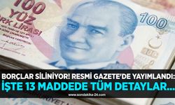 Borçlar siliniyor! Resmi Gazete'de yayımlandı: İşte 13 maddede tüm detaylar...