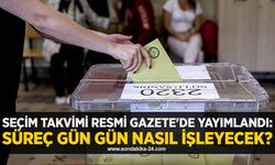 Seçim takvimi Resmi Gazete'de yayımlandı: Süreç gün gün nasıl işleyecek?