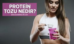 Protein Tozu Nedir ?
