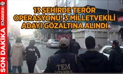 13 şehirde terör operasyonu! 3 milletvekili adayı gözaltına alındı