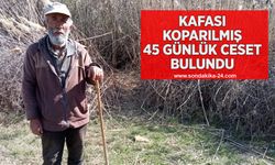 Kafası koparılmış 45 günlük ceset bulundu