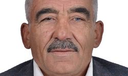Eşekten düştü, hastanelik oldu