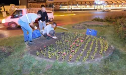 Erzincan kendi ürettiği çiçeklerle kenti güzelleştiriyor!