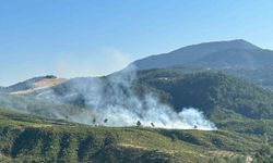 Honaz’daki orman yangını kontrol altına alındı