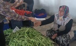 Kadına yönelik şiddetle mücadele eylem planı sürüyor
