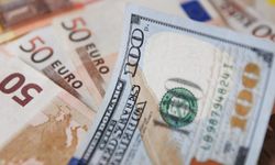 Erzincan 21 Kasım 2023 Döviz Kurları: Dolar ve Euro Ne Kadar?