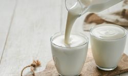 Ayran ve Kefir Arasındaki Fark Nedir?