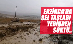 Erzincan'da Şiddetli Sel: Büyük Taşlar Tarım Arazilerine Sürüklendi