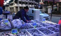 Fiyatı Yarı Yarıya Düştü: Karadeniz'de Bolluk Yaşanıyor