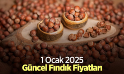 Fındıkta Yeni Yılın Rakamları: 2025’in İlk Gününde Güncel Fiyatlar Açıklandı!