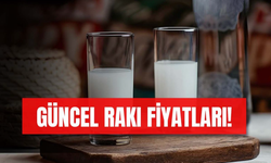 2025 Yeni Rakı Fiyatları