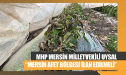 Mersin’de Zirai Don Felaketi: MHP’li Uysal Afet Bölgesi İlanı Talep Etti