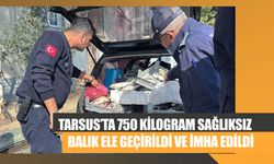 Tarsus’ta 750 Kilogram Sağlıksız Balık Ele Geçirildi ve İmha Edildi