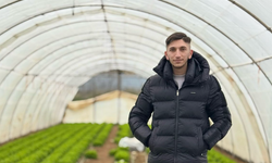 Enes Ay ile Lezzetin ve Doğallığın Kesişim Noktası: Harman Ev Yemekleri ve Aromatik Bitki Üretimi