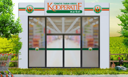 Mersin Tarım Kredi Marketlerinde Bahar Fırsatları! 06-12 Mayıs İndirim Kataloğu Açıklandı