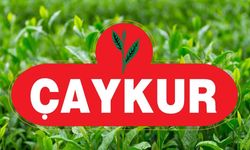 ÇAYKUR, Trabzon ve Bölge İllerine 1500 Mevsimlik İşçi Alacak!