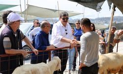 Toroslar’da Kurban Pazarı Bayrama Hazır!