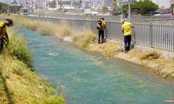 Tarsus Belediyesi’nden Hal Yolu ve Ana Caddelerde Yoğun Temizlik Mesaisi
