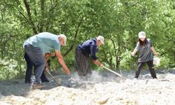 Mersin’de Toprak Atalarının İzinde: Büyükşehir'den Leklek Fasulyesine Can Suyu