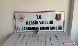 Bozyazı’da Tarihi Eser Operasyonu: Osmanlı Dönemine Ait Sikke ve Objeler Ele Geçirildi