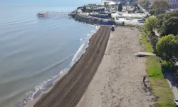 Ordu sahillerinde temizlik seferberliği