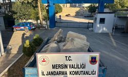 Silifke’de Tarihi Eser Operasyonu: 2 Gözaltı, 7 Parça Eser Ele Geçirildi