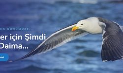 Macarca Türkçe Çeviri ve Özbekçe Türkçe Çeviri