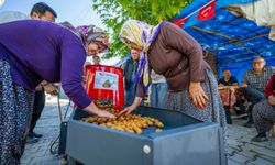 Mersin Büyükşehir’den Üreticilere “Ceviz Soyma Makinesi” Desteği