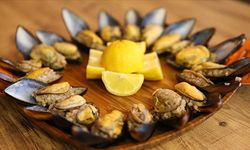 Midye–Kumpir Tartışması: Ortaköy'deki Acı Olay Sokak Lezzetlerini Yeniden Gündeme Taşıdı!