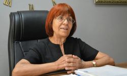 HAKDEM Başkanı Elbirliler: “Sarıalan Hayvanlar İçin Tehlikeli Bir Projedir”