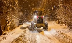 Toroslar’da karla kapanan yollar açılıyor