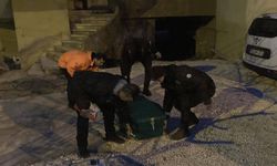 Mersin’de kan donduran olay: Ceset banyoda bulundu