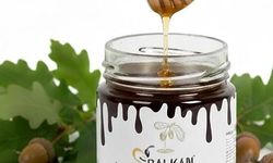 Trakya’da Doğal Meşe Balı Üretimi: Balkan Bal Evi’nden Sofralara Uzanan Yolculuk