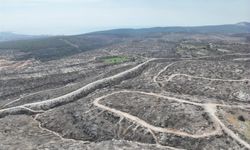 Silifke’de Küllerinden Doğuş