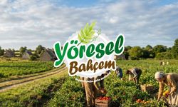 Doğal ve Sağlıklı Yaşama Adım Atın