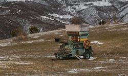 Yem Makinesine Kapan Çocuk Can Verdi, Ablasının Kolu Koptu