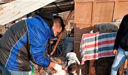 Iğdır’dan deprem bölgesine giden veteriner hekimler geri döndü